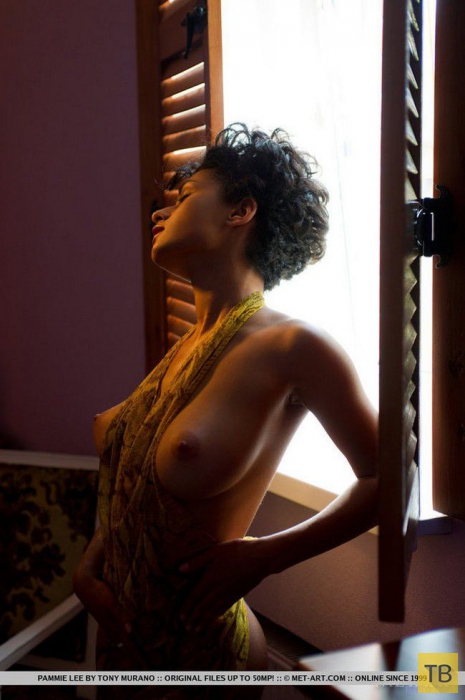 �������� � ������� ������� �� "�����������", ����� 16 (100 ����)