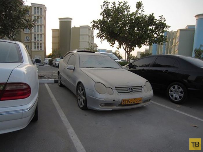 ��������� ���������� ����� (40 ����)