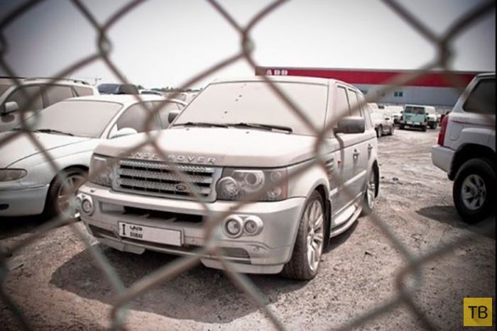 ��������� ���������� ����� (40 ����)