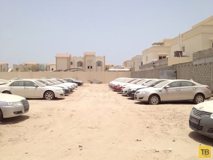 ��������� ���������� ����� (40 ����)