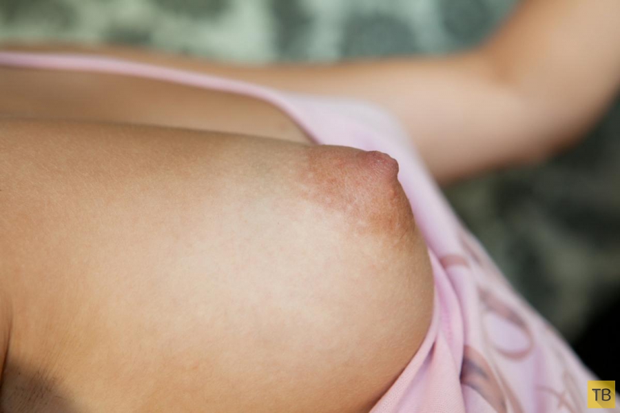 �������� � ������� ������� �� "�����", ����� 13 (100 ����)