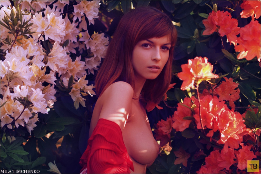 �������� � ������� ������� �� "�����������", ����� 16 (100 ����)