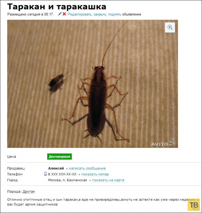 ������� ���������� �� ����� (20 ����)