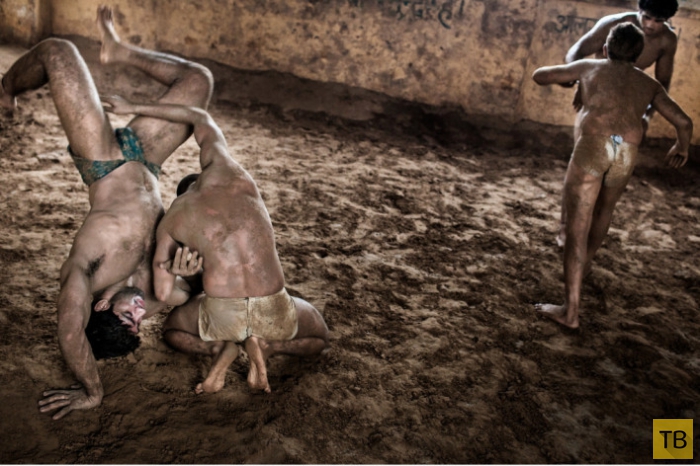 Традиционный вид борьбы в Индии (18 фото)