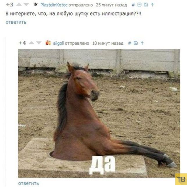 ���������� ����������� �� ���������� �����, ����� 191 (20 ����)