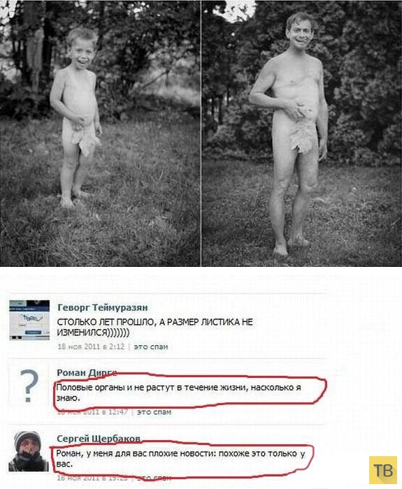 ���������� ����������� �� ���������� �����, ����� 191 (20 ����)