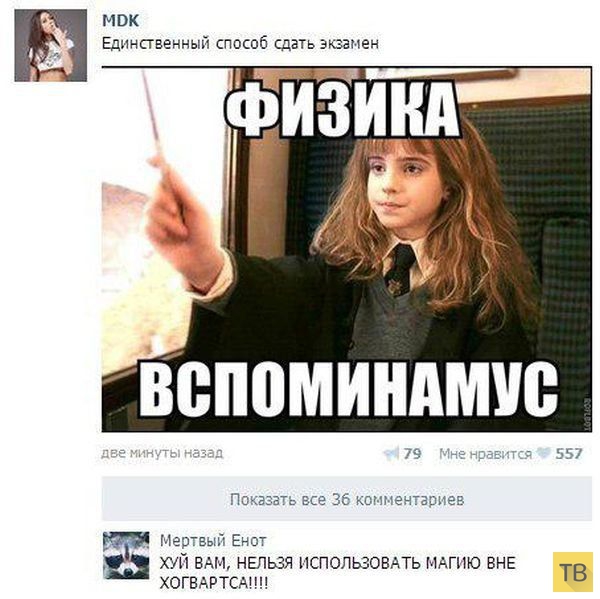 ���������� ����������� �� ���������� �����, ����� 193 (24 ����)