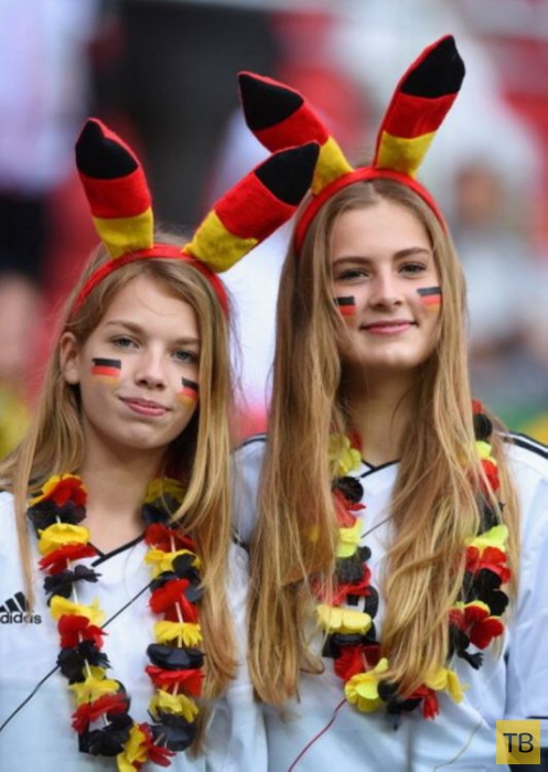 �������� ���������� (20 ����)