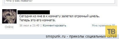 ���������� ����������� �� ���������� �����, ����� 194 (32 ����)