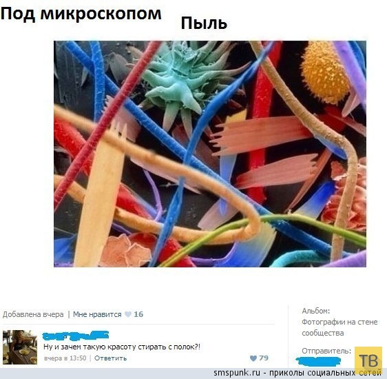 ���������� ����������� �� ���������� �����, ����� 194 (32 ����)