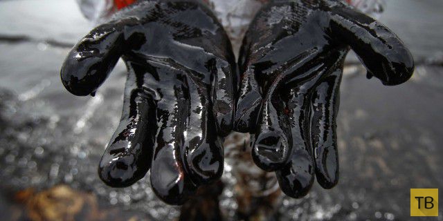 Топ 10: Неожиданные направления применения нефти (11 фото)