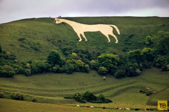 Белая лошадь: рисунок на холме, покрытый тайнами (11 фото)