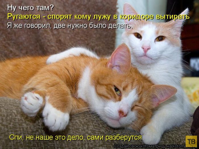 ������ ����������� ������, ����� 11 (50 ����)