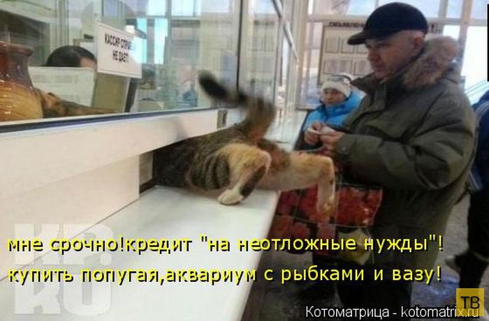 ������ ����������� ������, ����� 11 (50 ����)