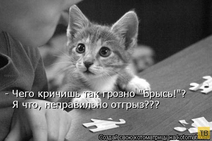 ������ ����������� ������, ����� 11 (50 ����)