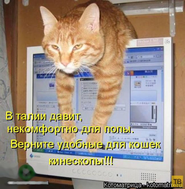 ������ ����������� ������, ����� 11 (50 ����)