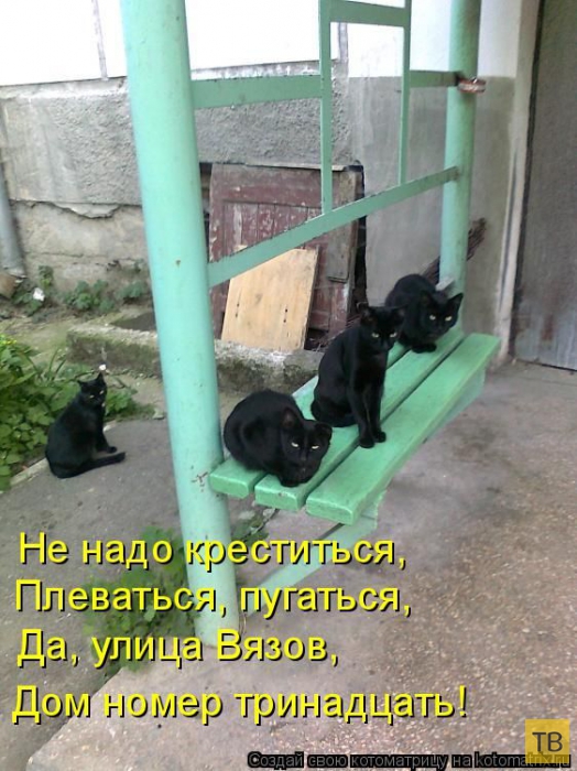 ������ ����������� ������, ����� 11 (50 ����)