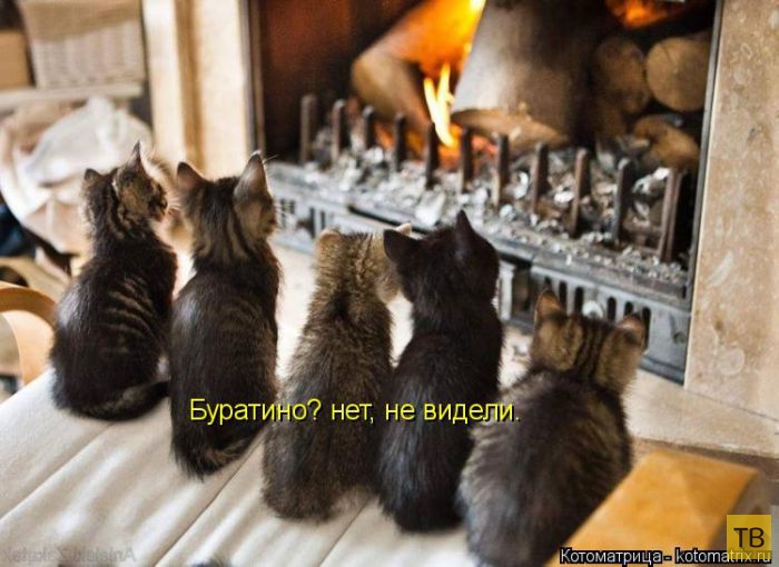 ������ ����������� ������, ����� 11 (50 ����)