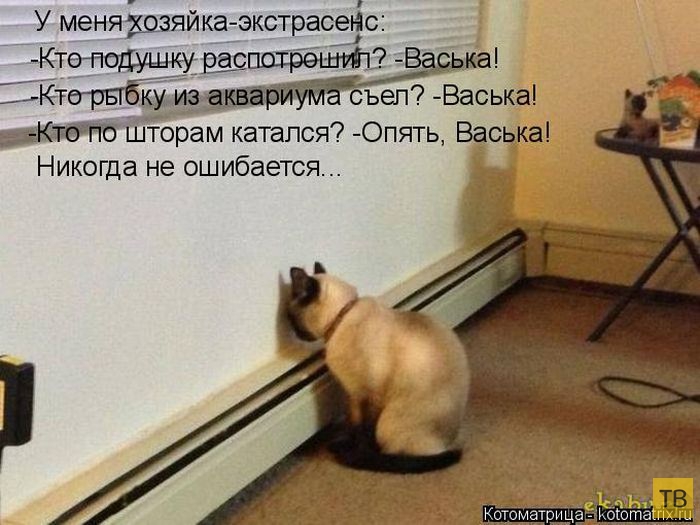 ������ ����������� ������, ����� 11 (50 ����)