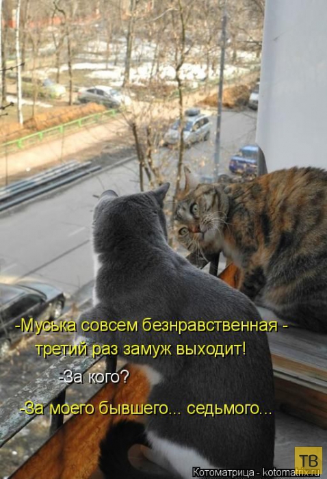 ������ ����������� ������, ����� 11 (50 ����)