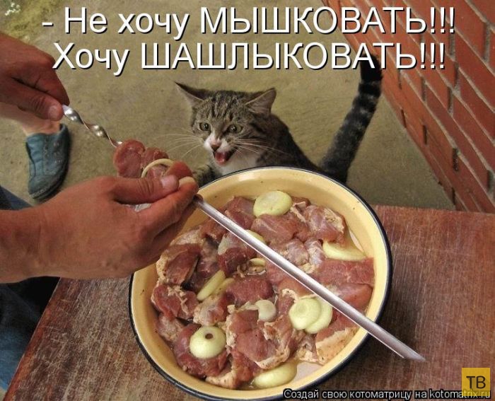 ������ ����������� ������, ����� 11 (50 ����)