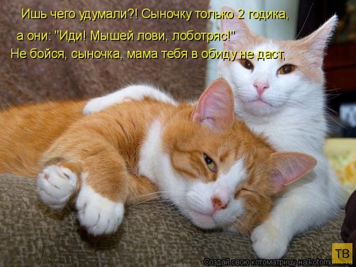 ������ ����������� ������, ����� 11 (50 ����)