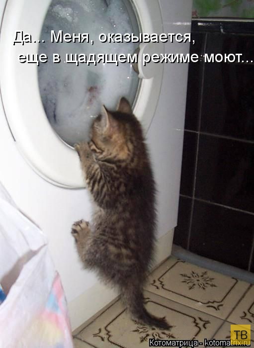 ������ ����������� ������, ����� 11 (50 ����)