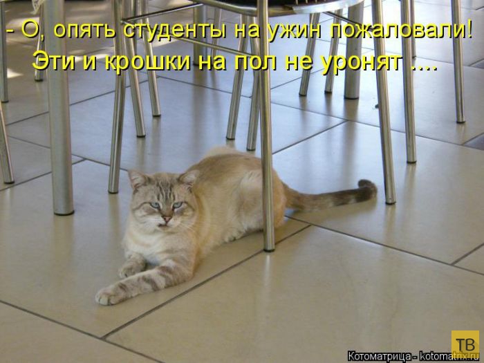 ������ ����������� ������, ����� 11 (50 ����)