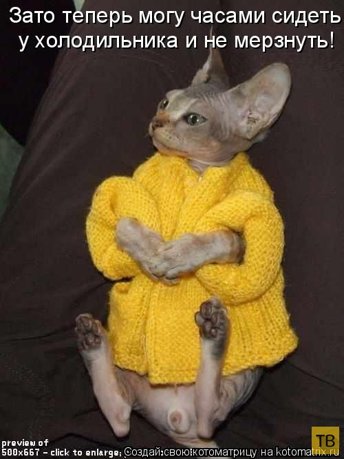 ������ ����������� ������, ����� 11 (50 ����)