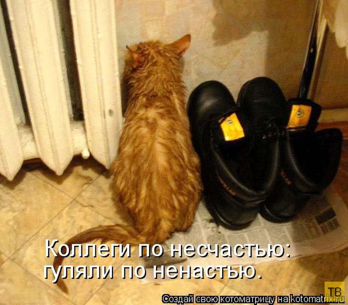 ������ ����������� ������, ����� 11 (50 ����)