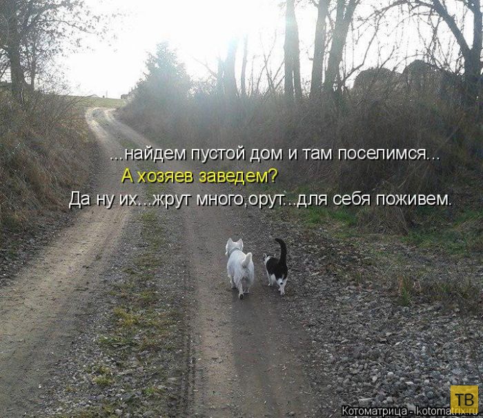 ������ ����������� ������, ����� 11 (50 ����)