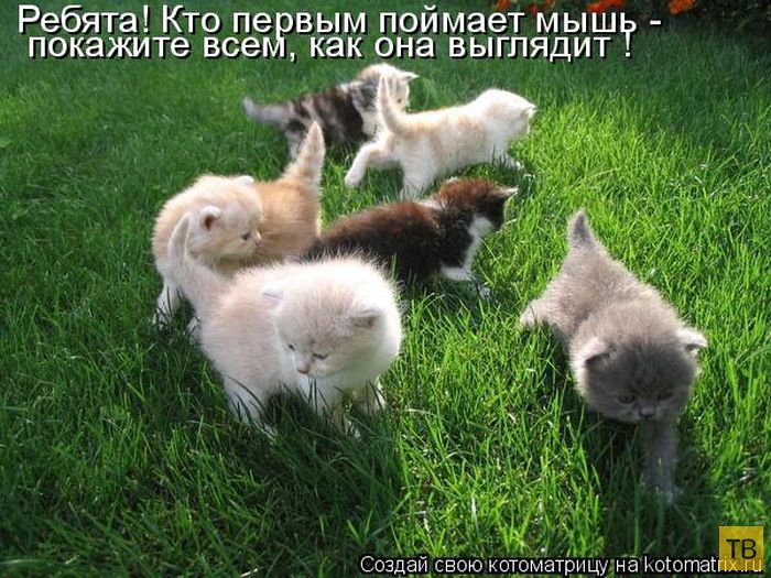 ������ ����������� ������, ����� 11 (50 ����)