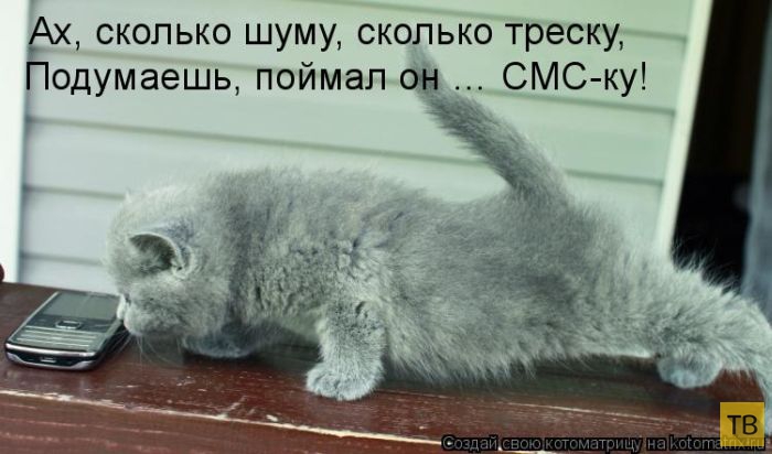 ������ ����������� ������, ����� 11 (50 ����)