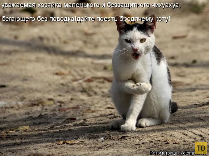 ������ ����������� ������, ����� 11 (50 ����)