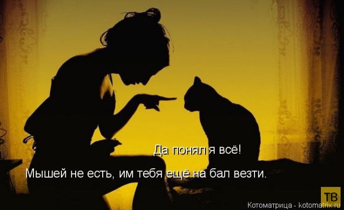 ������ ����������� ������, ����� 11 (50 ����)