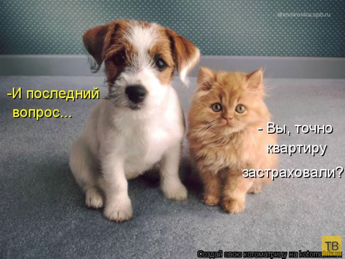 ������ ����������� ������, ����� 11 (50 ����)