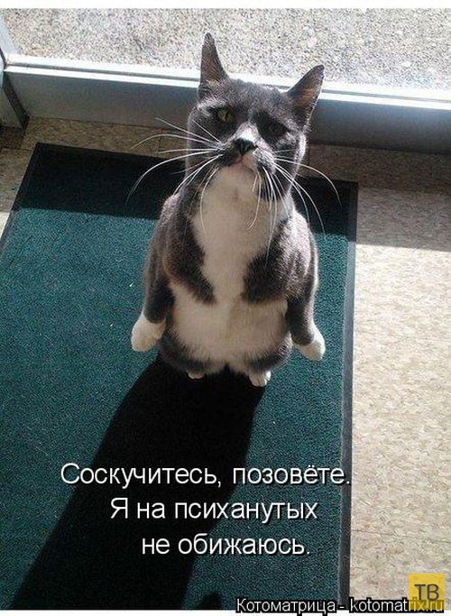 ������ ����������� ������, ����� 11 (50 ����)