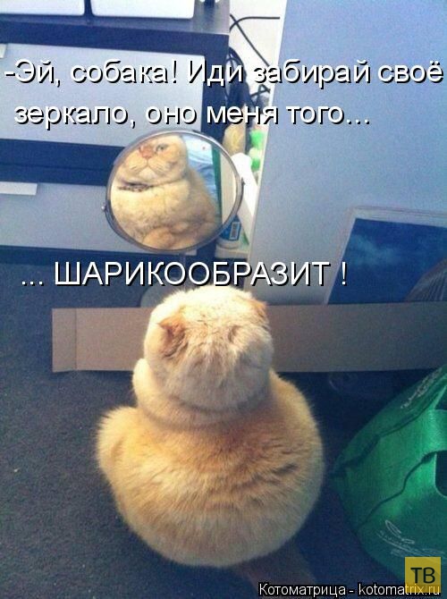 ������ ����������� ������, ����� 11 (50 ����)