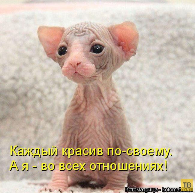 ������ ����������� ������, ����� 11 (50 ����)