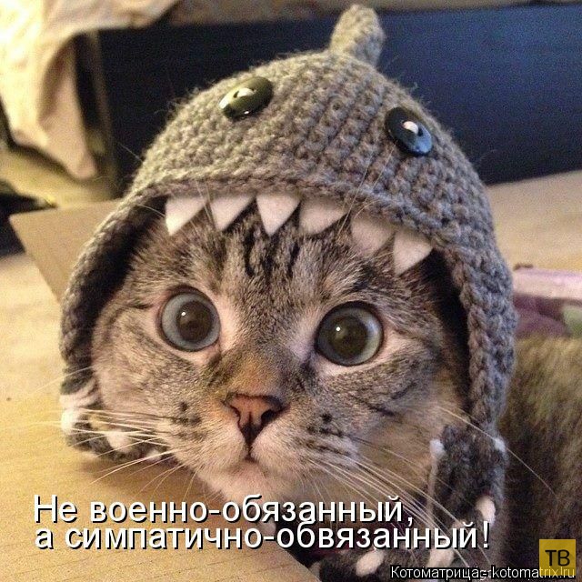 ������ ����������� ������, ����� 11 (50 ����)