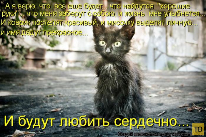 ������ ����������� ������, ����� 11 (50 ����)