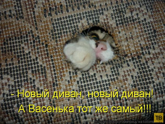 ������ ����������� ������, ����� 11 (50 ����)