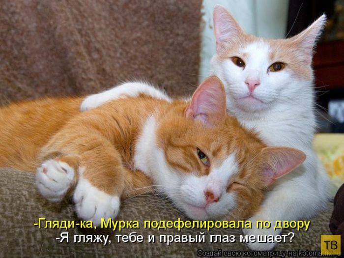 ������ ����������� ������, ����� 11 (50 ����)