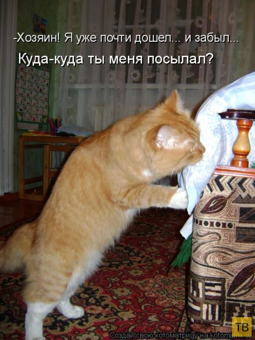 ������ ����������� ������, ����� 11 (50 ����)