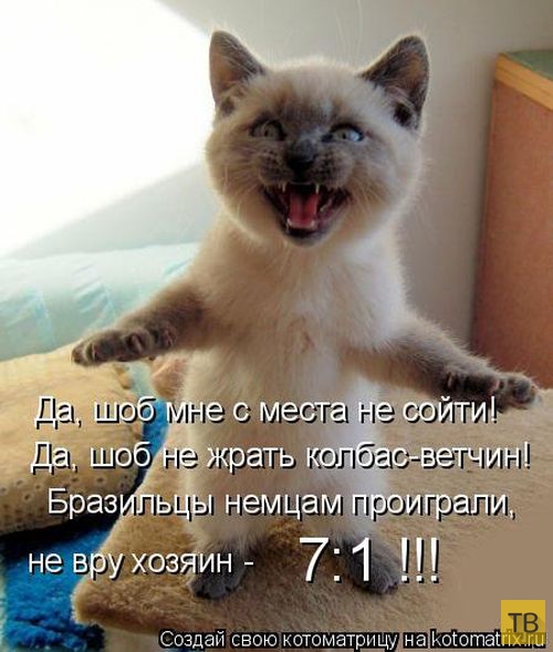 ������ ����������� ������, ����� 11 (50 ����)