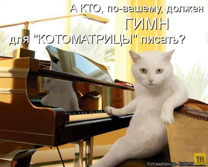 ������ ����������� ������, ����� 11 (50 ����)