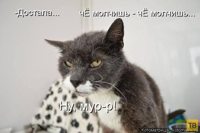 ������ ����������� ������, ����� 11 (50 ����)