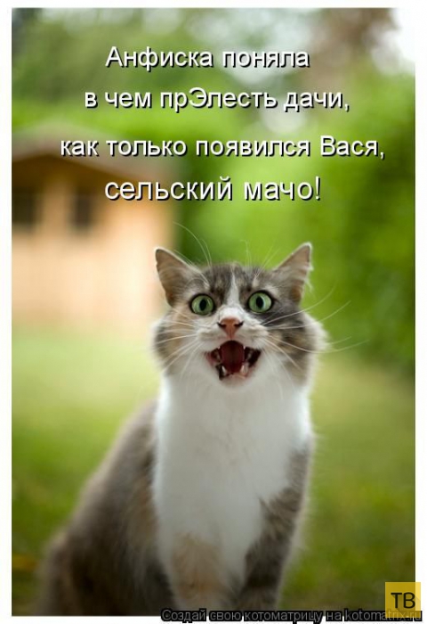 ������ ����������� ������, ����� 11 (50 ����)