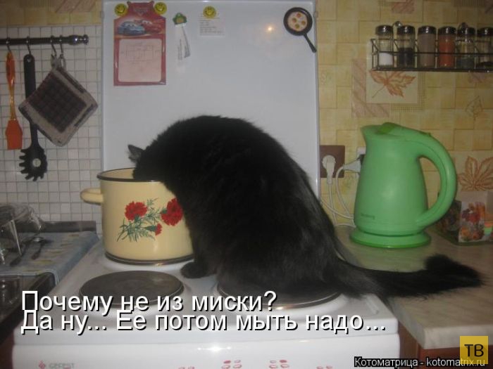 ������ ����������� ������, ����� 11 (50 ����)