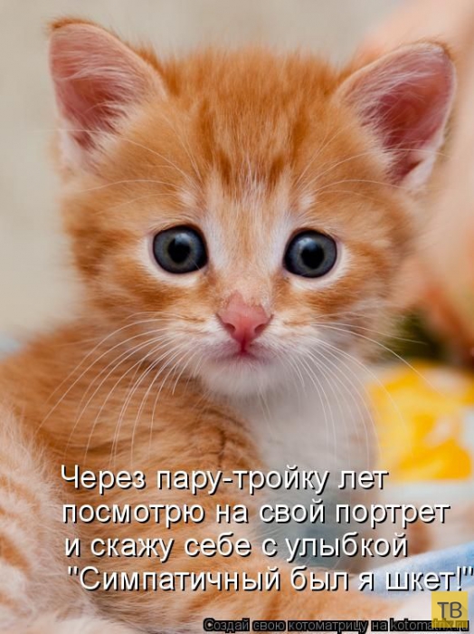 ������ ����������� ������, ����� 11 (50 ����)